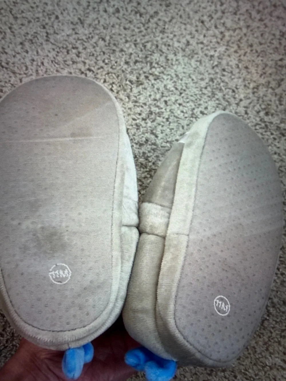 Tucker and Tate shark slippers, 11